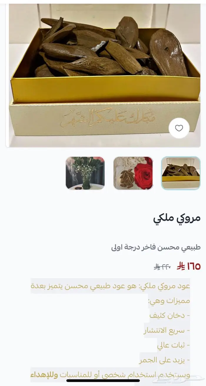 عروض اليوم الوطني لبشائر العود 7