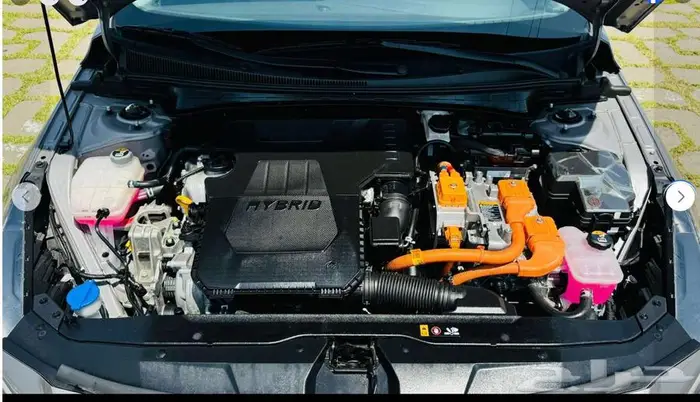 النترا 2021 وارد كوريا بطاقة جمركية 5