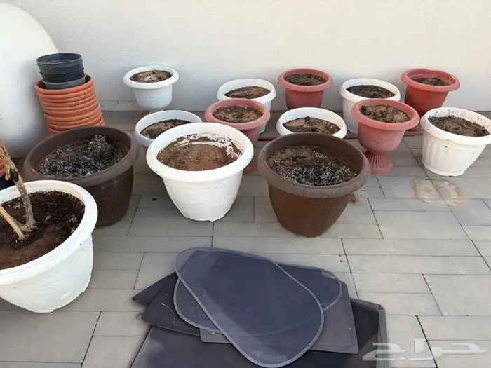 مراكن زراعية 1