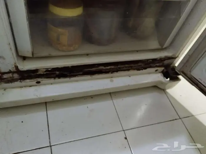 ثلاجه بابين 1