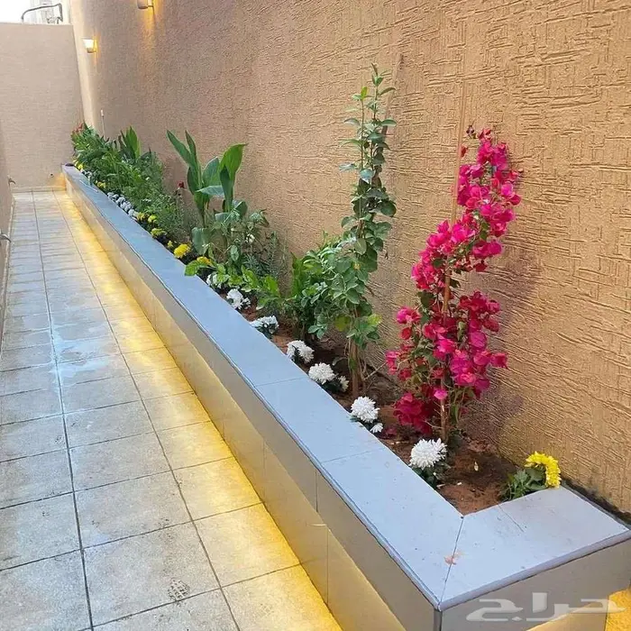 تنسيق حدائق القصيم 7
