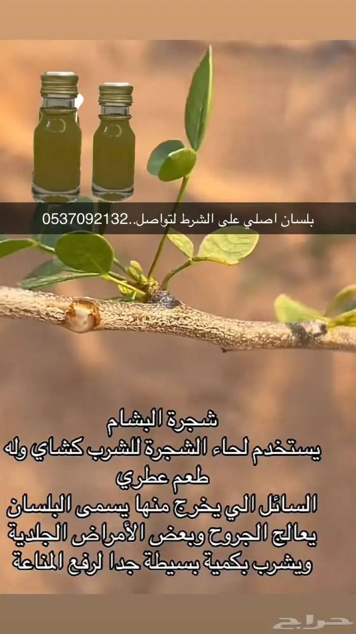 بلسان او بشام اصلي على الشرط 4