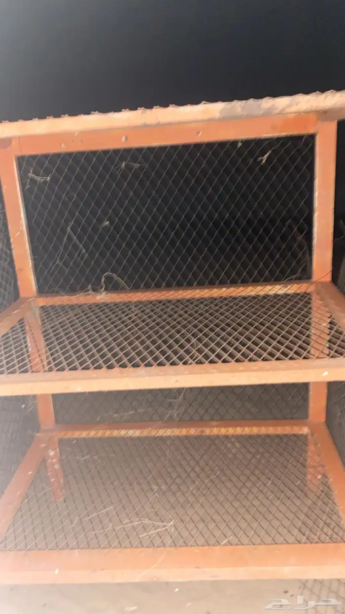 شبك طيور للبيع 0