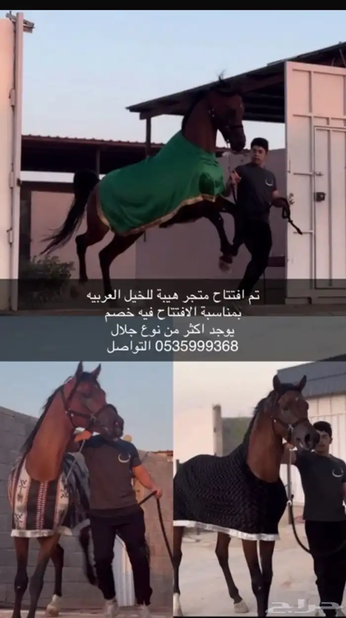 جلال 0