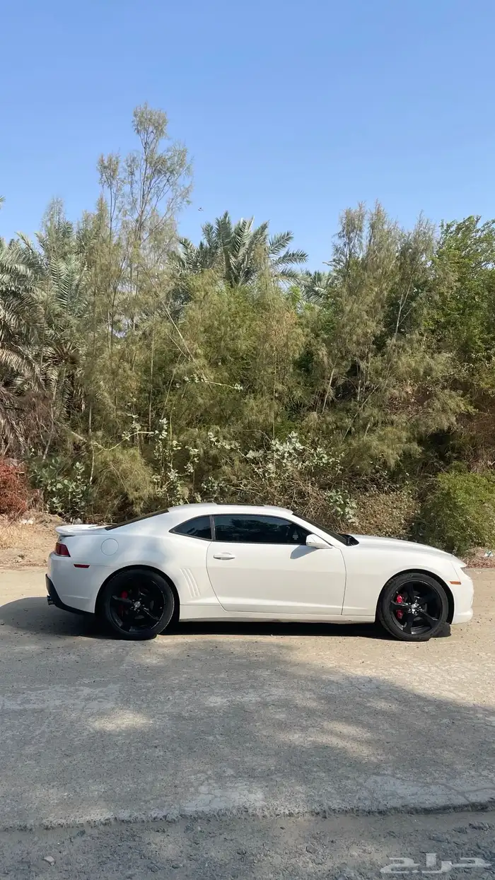 V6   للبيع  شفروليه كمارو RS 2015   فل كامل 3