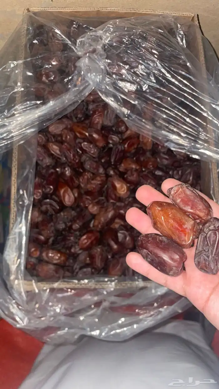 خضري 0