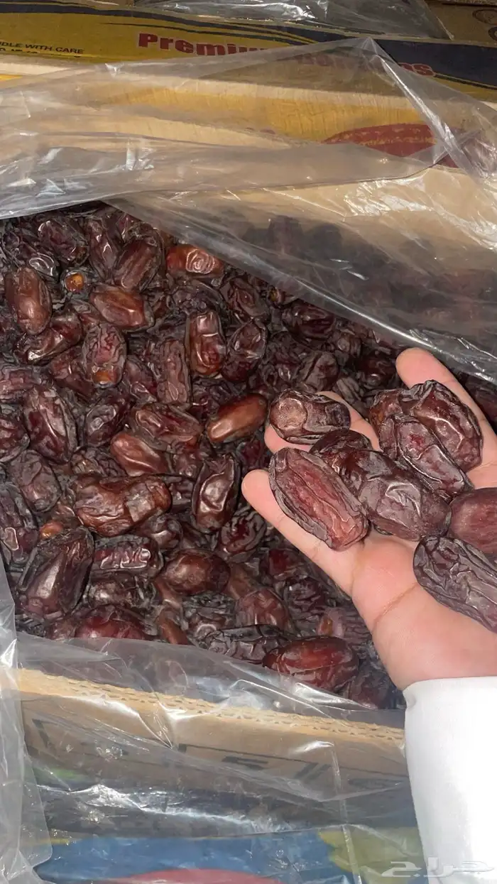خضري 2