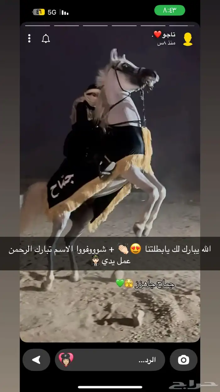 طباعه جلال خيل زينة 1