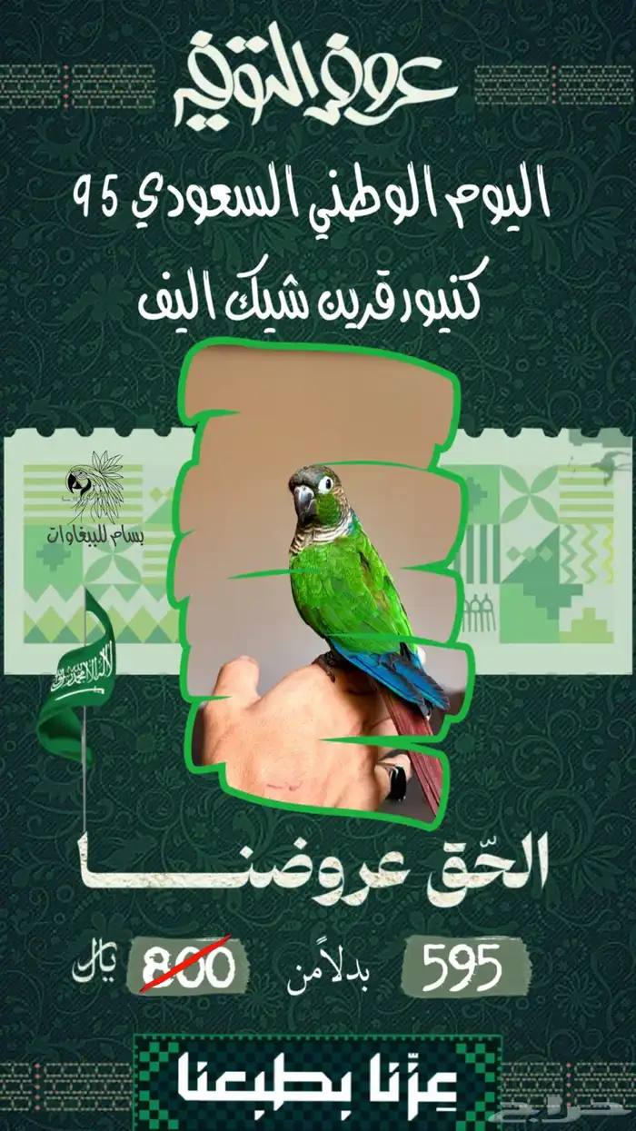 الحق عروض اليوم الوطني ..كنيور اليف ..فروخ كنيور ..كروان 0