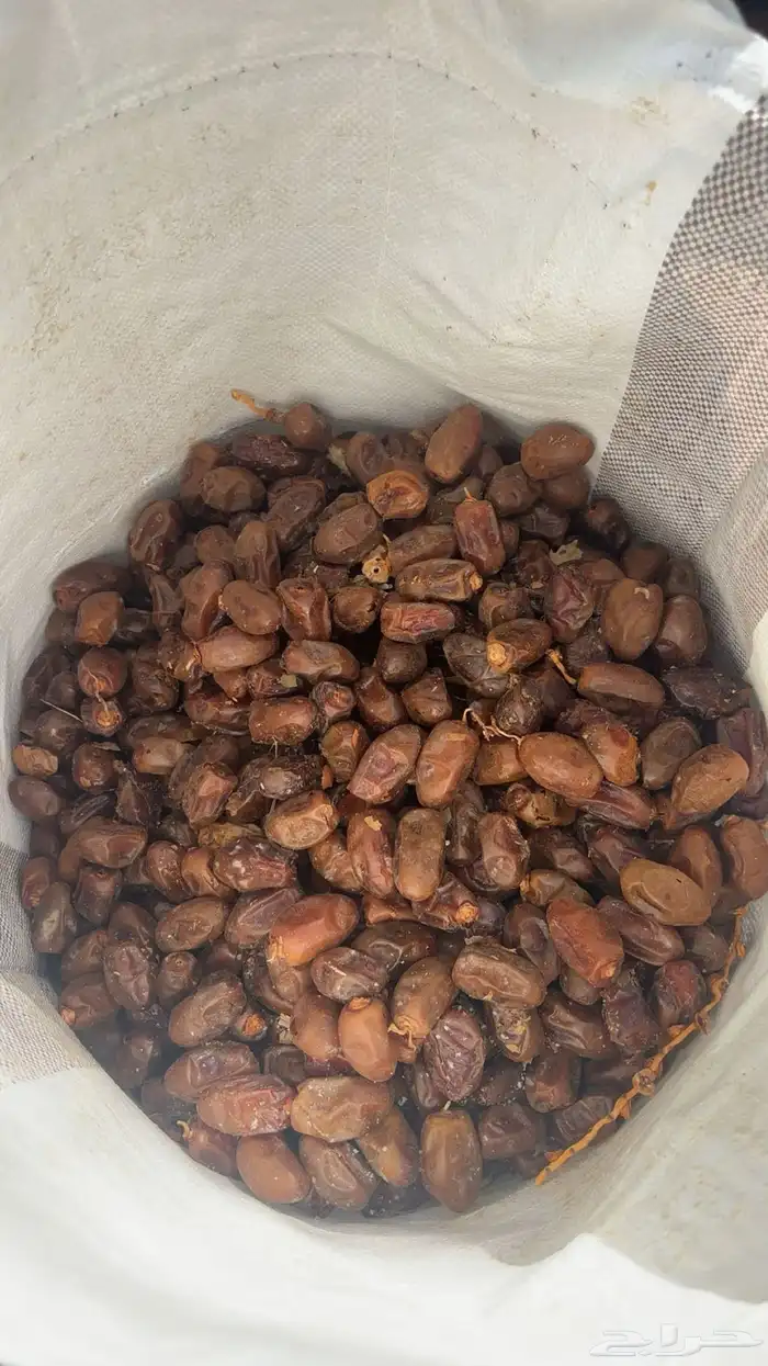 تمر حشف نظيف للحلال 0