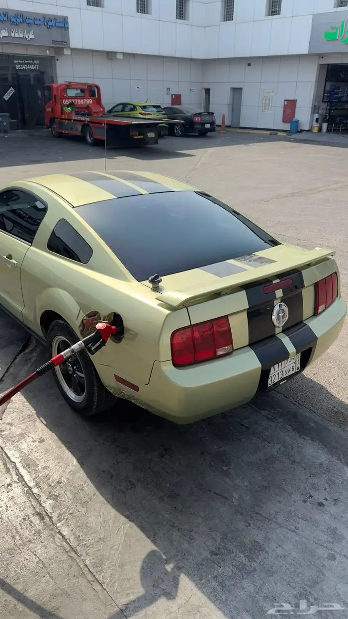 موستنج 2005 1