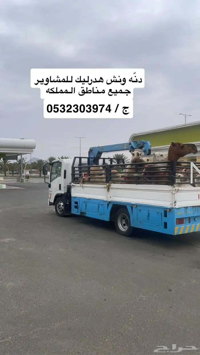 دنه ونش للمشاوير 1