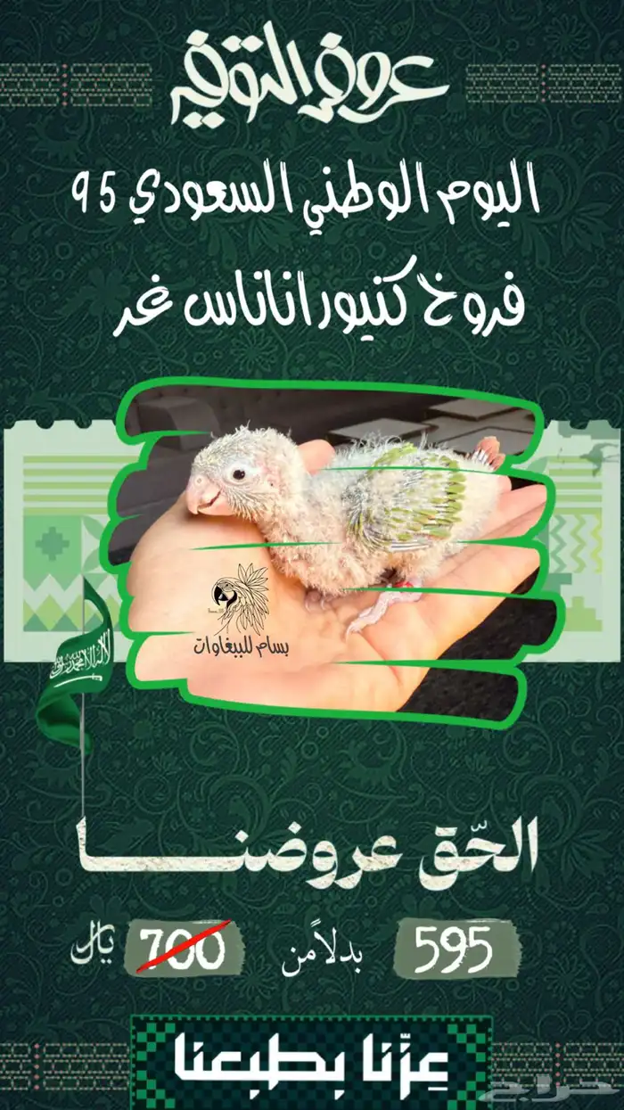الحق عروض اليوم الوطني ..كنيور اليف ..فروخ كنيور ..كروان 2