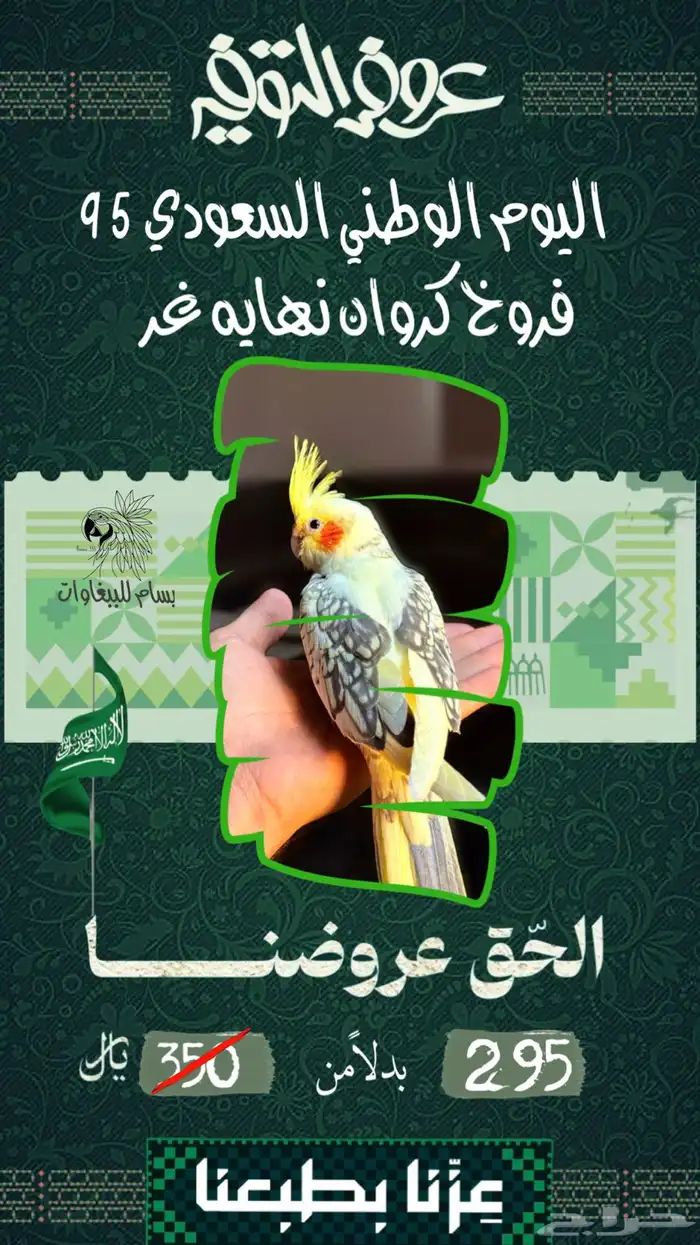 الحق عروض اليوم الوطني ..كنيور اليف ..فروخ كنيور ..كروان 1