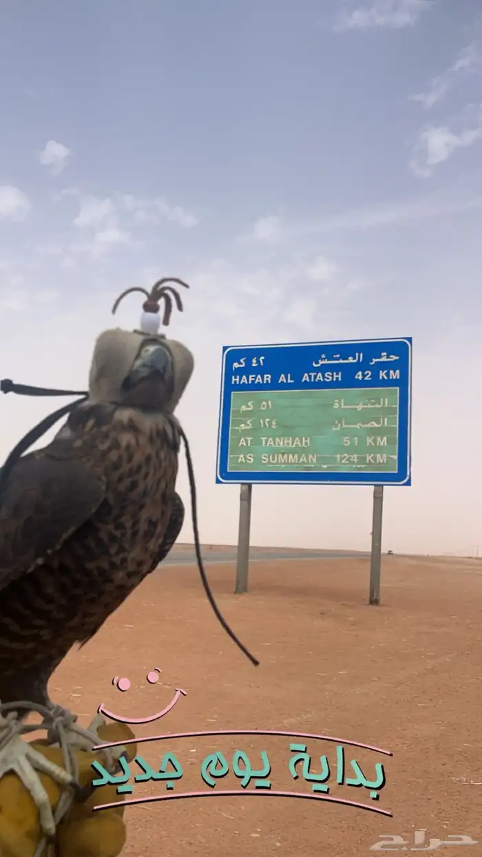 كداد وموصل من الرياض الدمام ودول الخليج وجميع مناطق المملكه 10