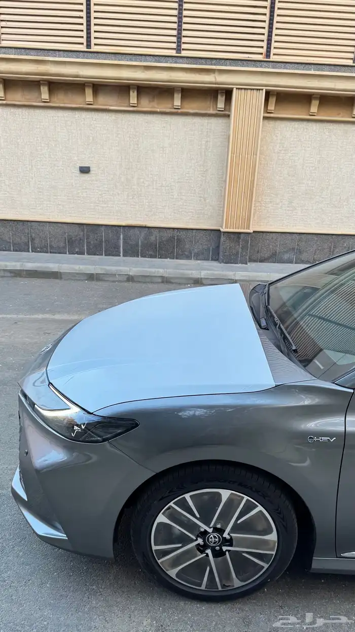 تم البيع 10