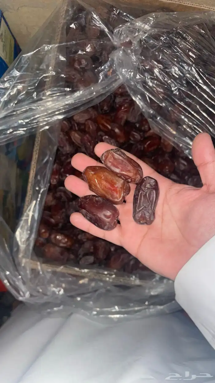 خضري 1
