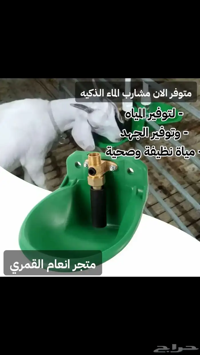 مشارب اغنام اتوماتيكية 2