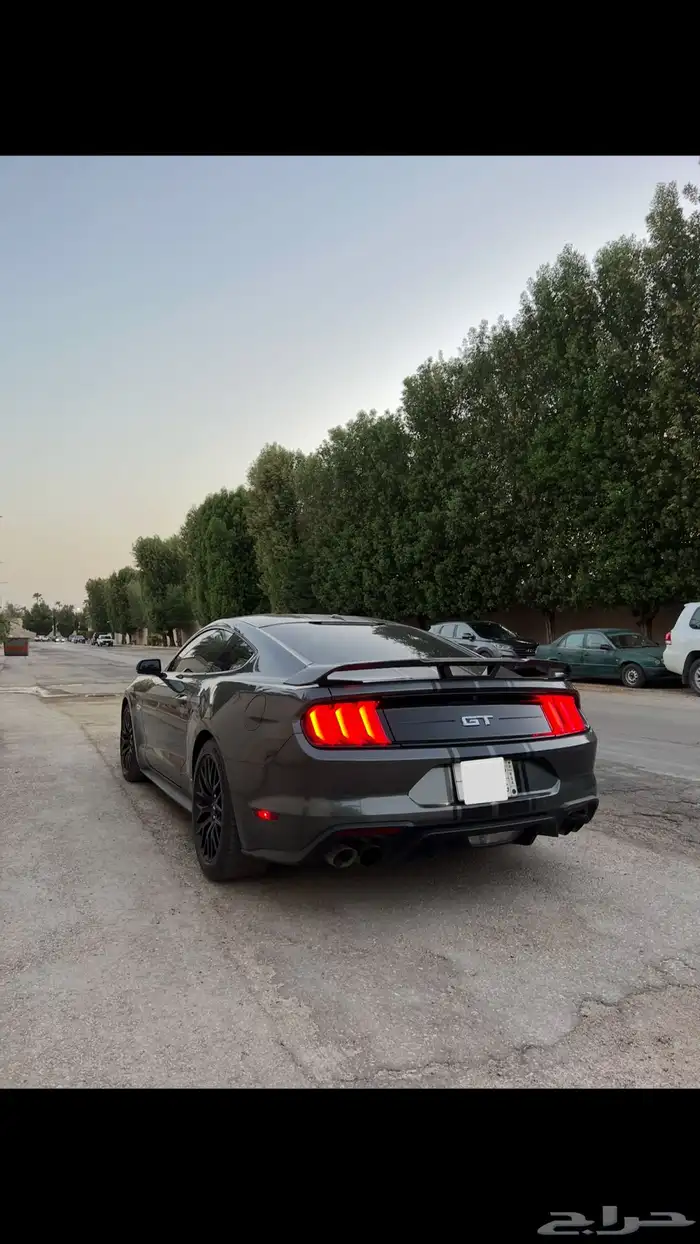 موستنق بيرفورمنس بكج 2019 1