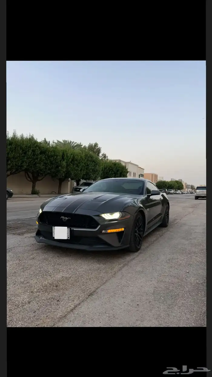 موستنق بيرفورمنس بكج 2019 0