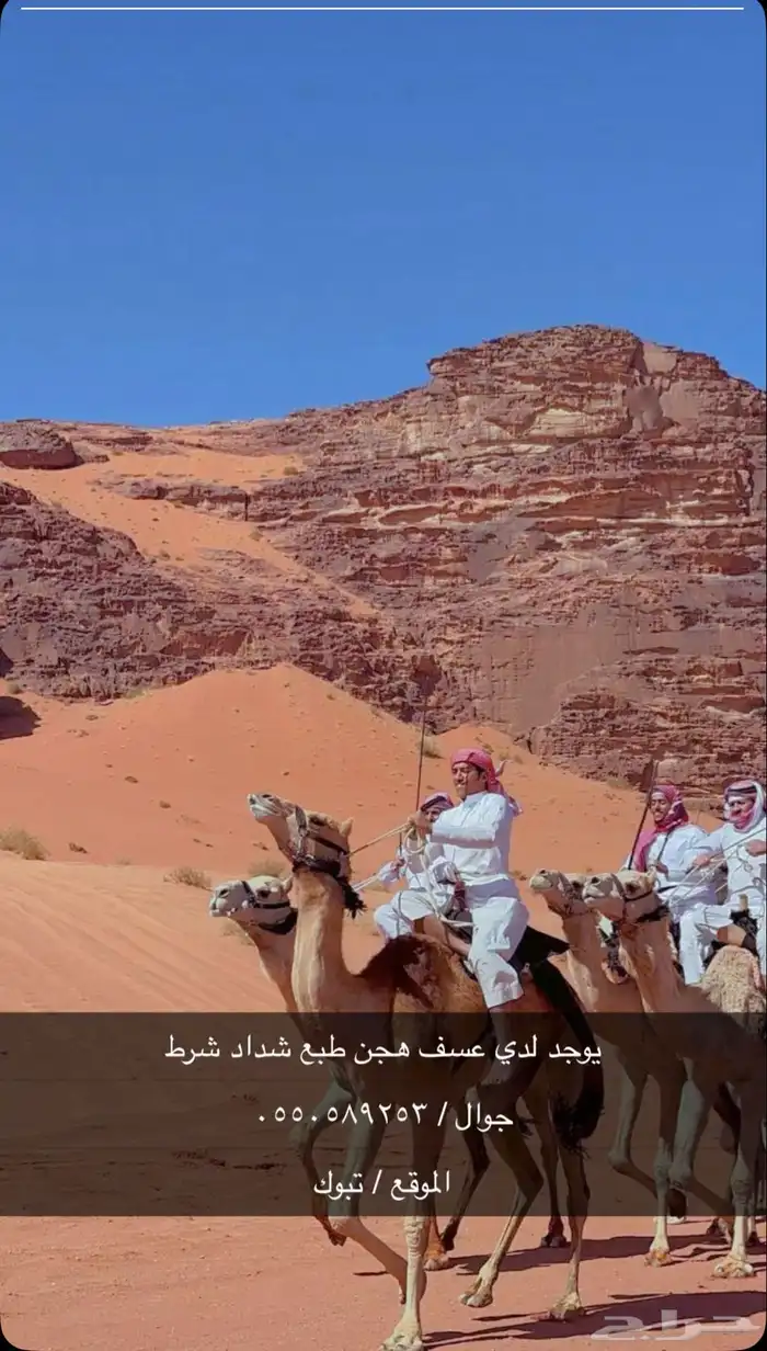 يوجد طبع شداد 0