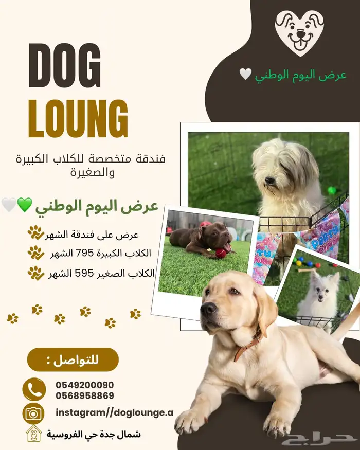 فندقة كلاب شمال جده 0