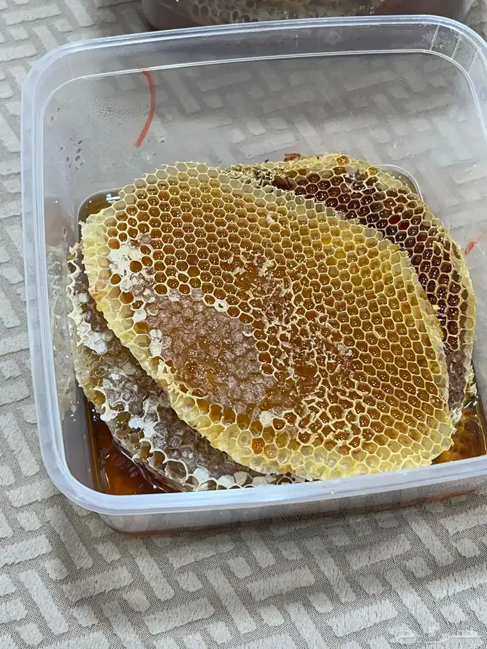 عسل سدر شرط الشرط 0