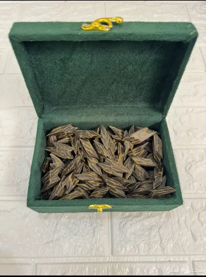 عرض ثمن تايقر درجه اولى 165 0