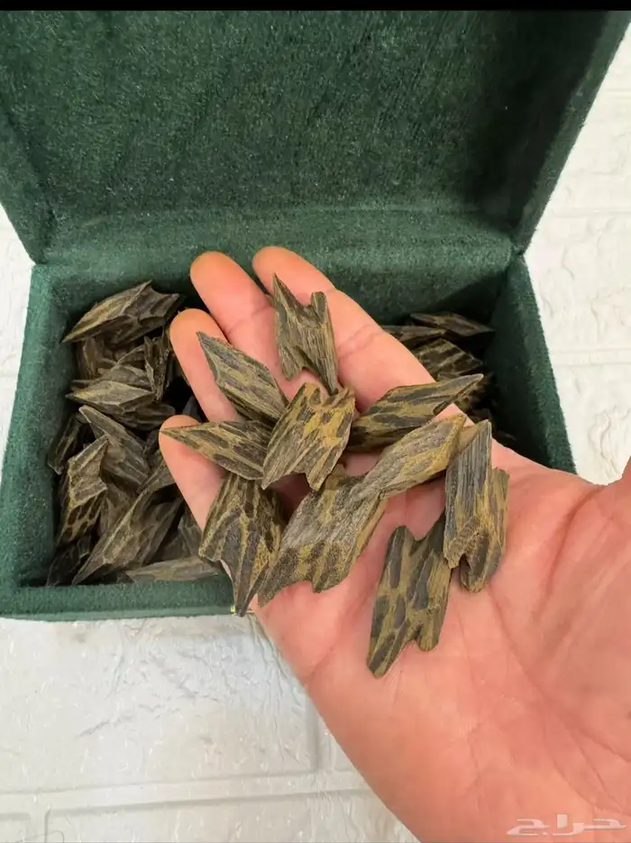 عرض ثمن تايقر درجه اولى 165 1