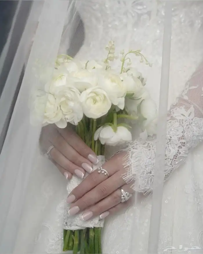 مصورة فوتوغرافيه. 0