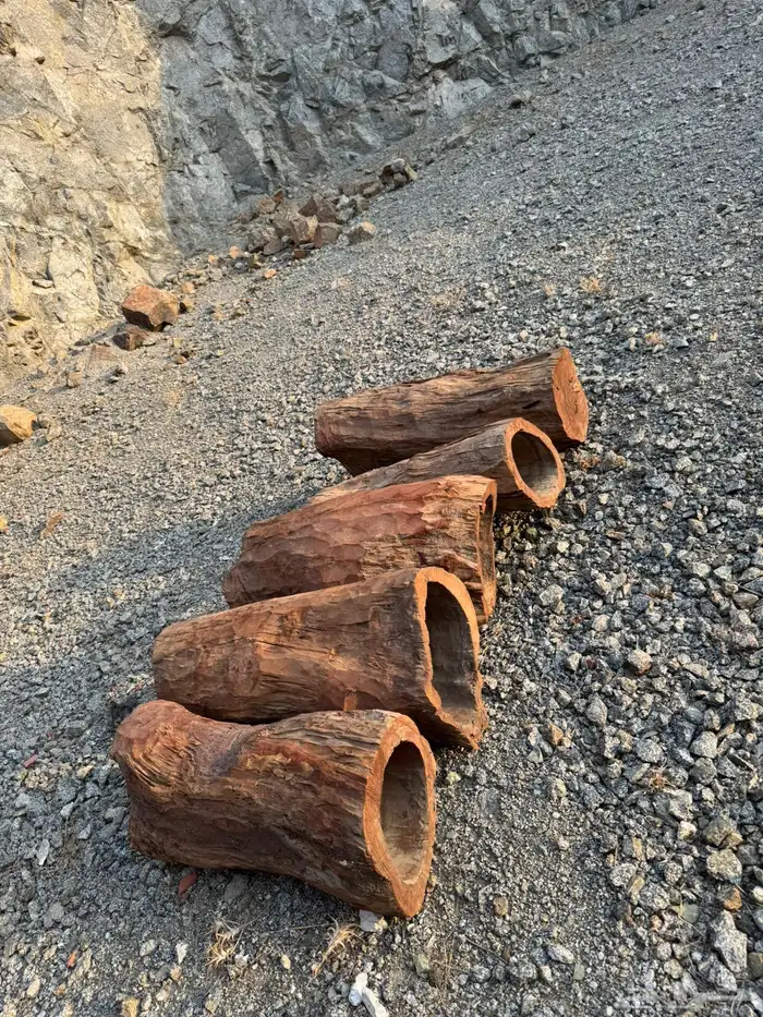عيدان قفل نحل 3