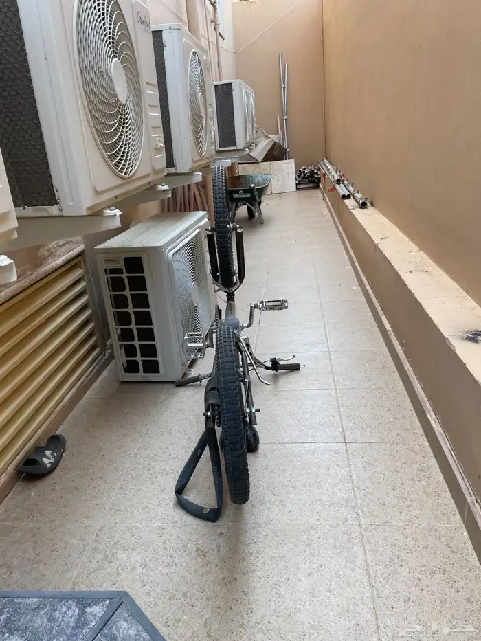 سيكل 10
