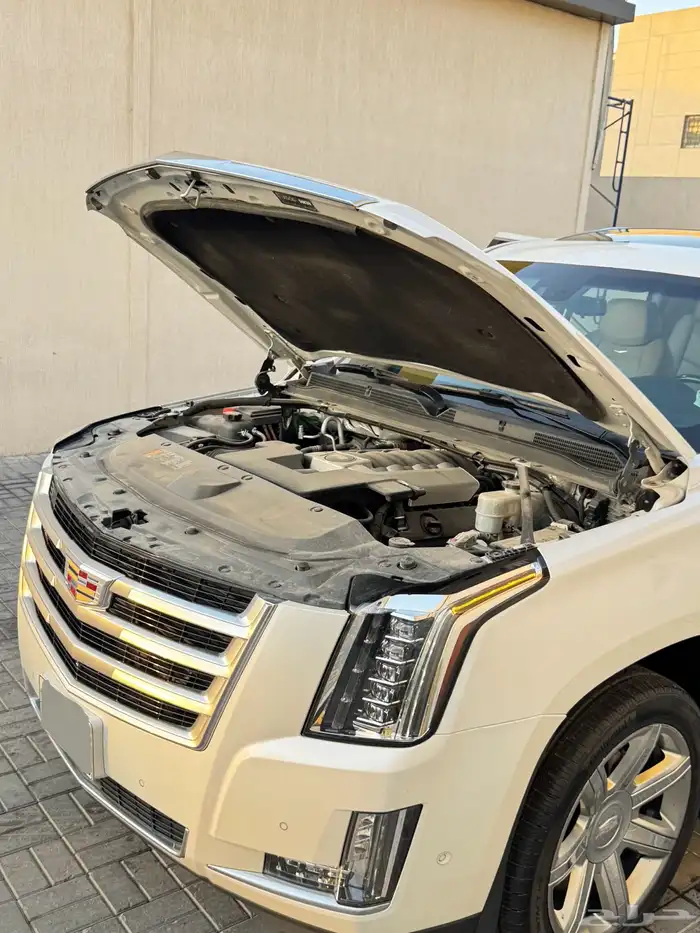 كاديلاك اسكاليد 2018 ESCALADE SEWELL 9