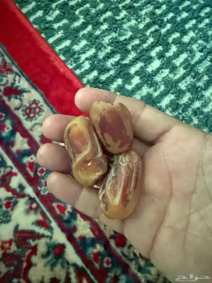 تمر اخلاص للبيع 2