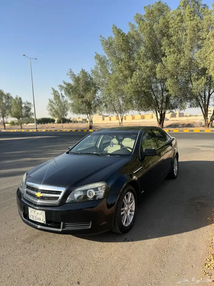كابرس 2012 11