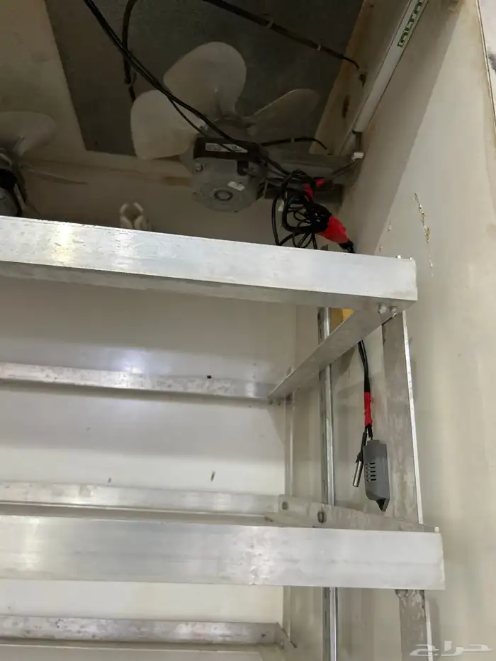 فقاسة ماسة المحمديه 2