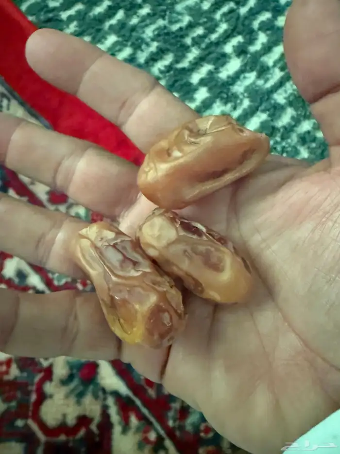 تمر اخلاص للبيع 1