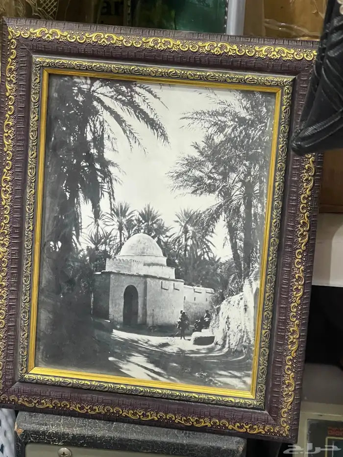 لوحات 3