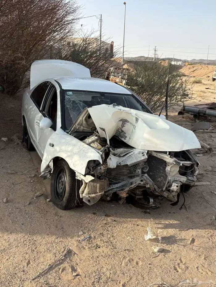 صني 2010مصدومة 0