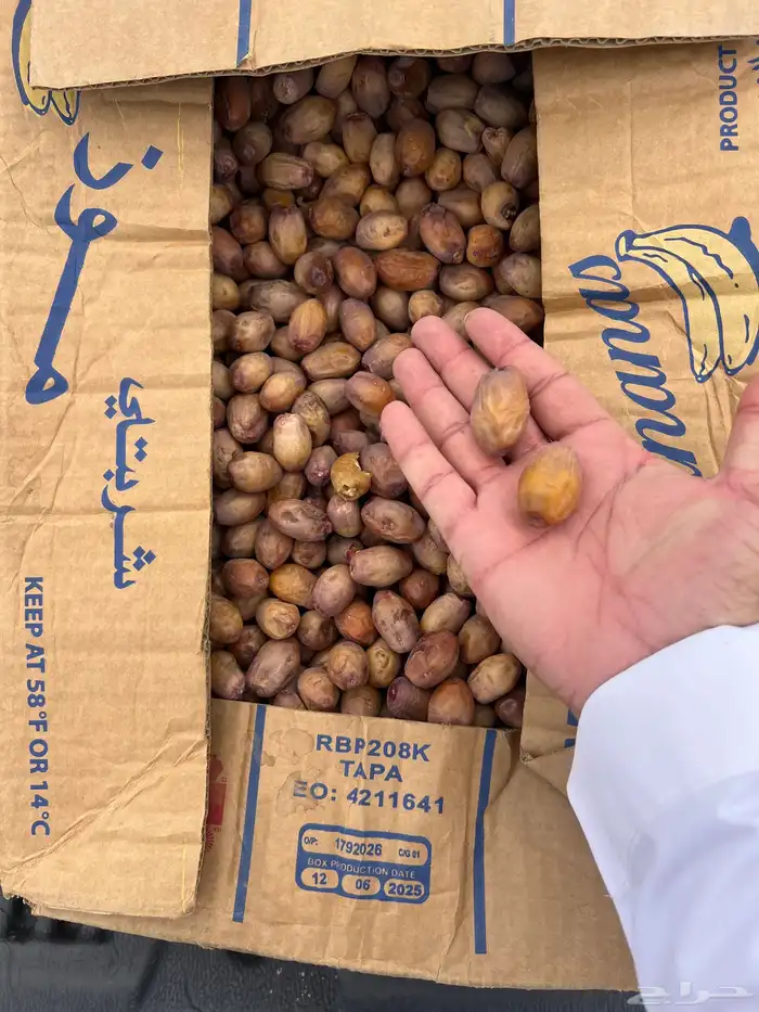 تمر خلع وكسب 3
