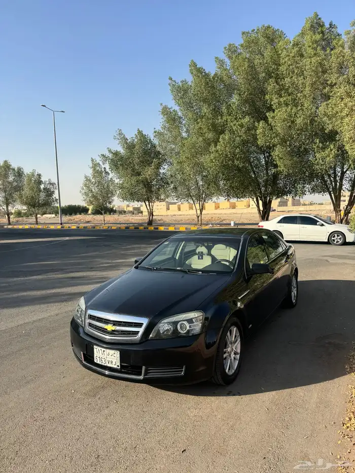 كابرس 2012 1
