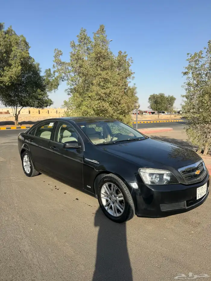 كابرس 2012 6