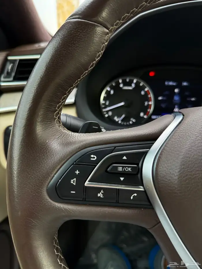 أخو الجديد انفنتي QX50 فل كامل 2020 27