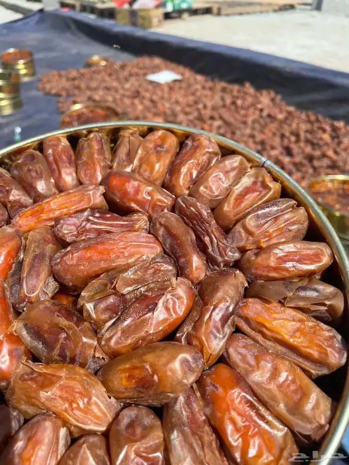 تمر صفري حشي 1