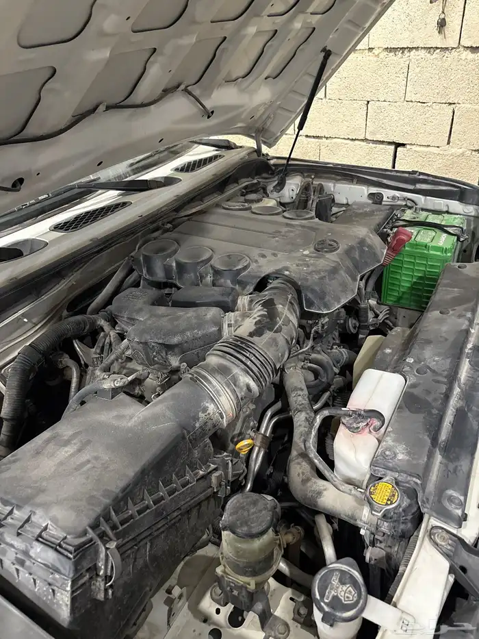 جيب أفجي 2013 5