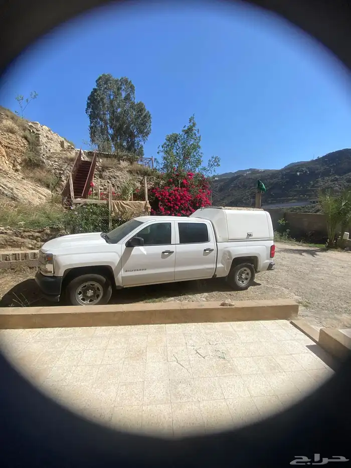 الرياض 1