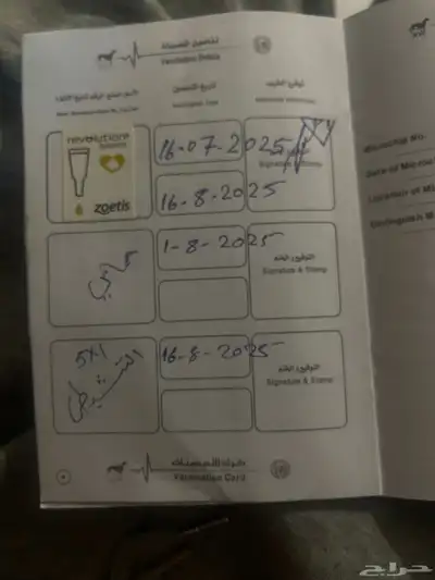 كليه مورانيان index