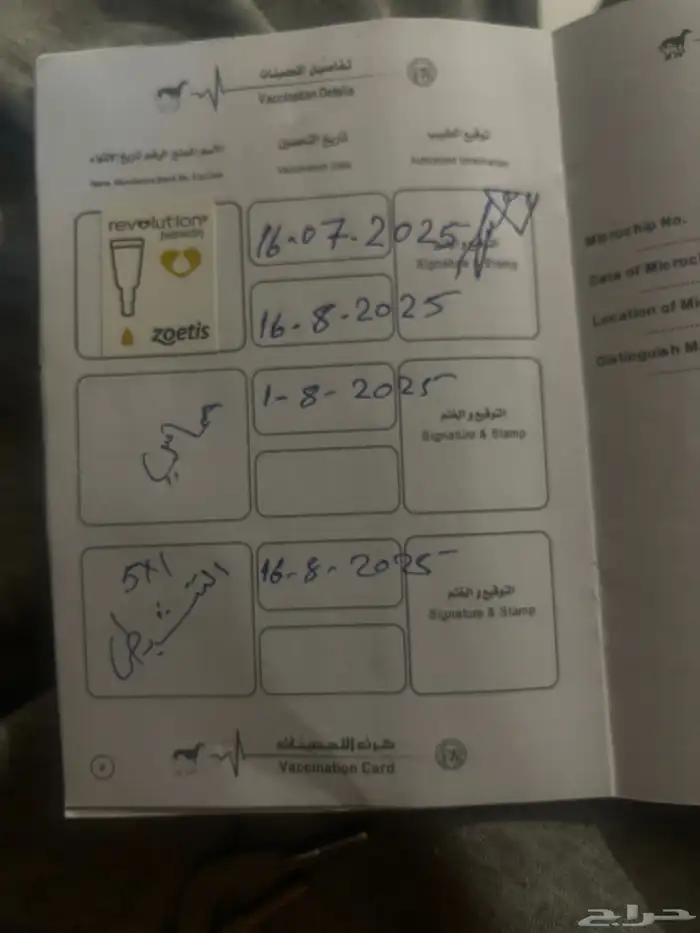 كليه مورانيان 2