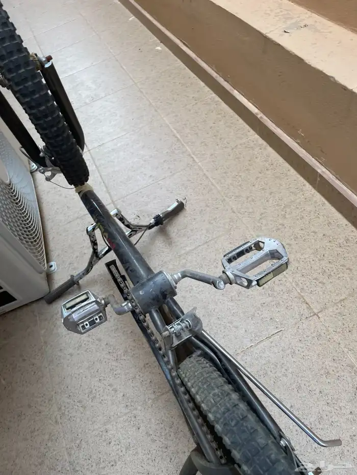 سيكل 8