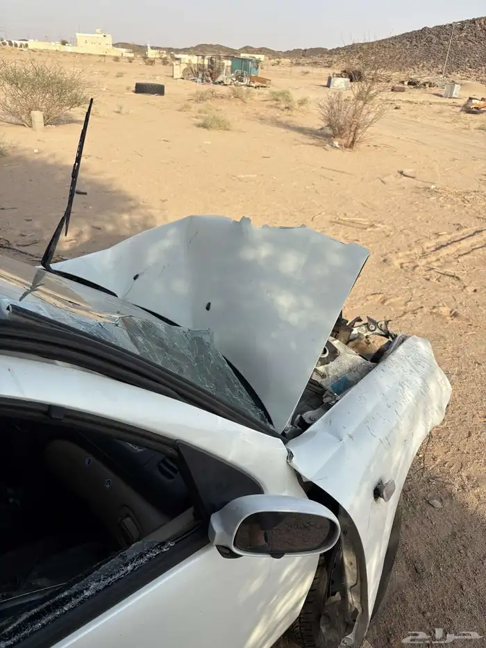 صني 2010مصدومة 2